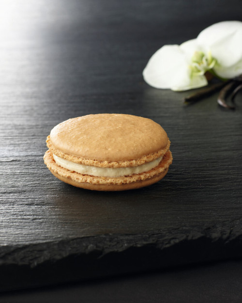 Le macaron vanille